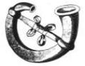 buccina_cornu.jpg