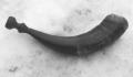 chasse_horn1.jpg